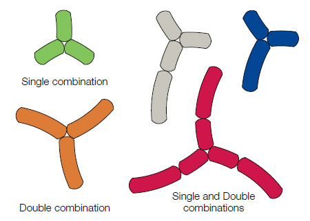 Performance Range Example Configurations